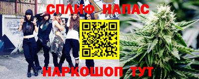 spice Обь